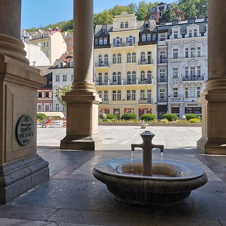 Appartamento Ubytovani Ester - Utulny Byt V Lazenskem Centru Karlovych Varu Se Zahradkou Karlovy Vary Esterno foto