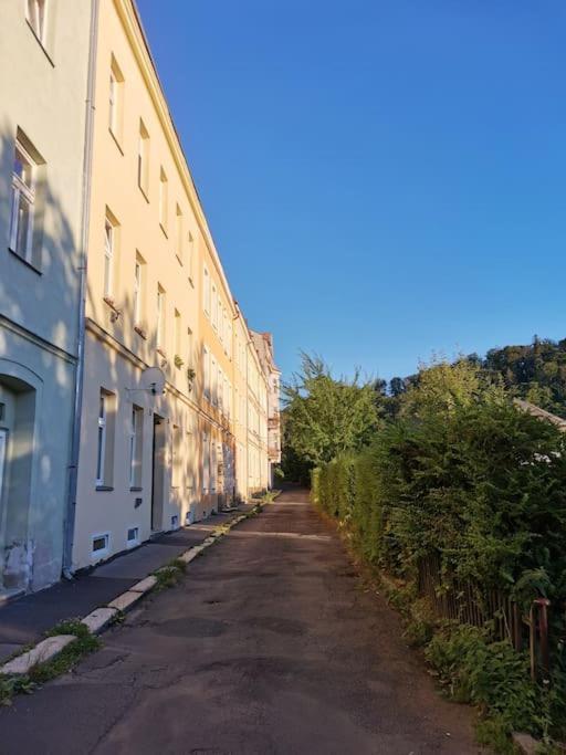 Appartamento Ubytovani Ester - Utulny Byt V Lazenskem Centru Karlovych Varu Se Zahradkou Karlovy Vary Esterno foto
