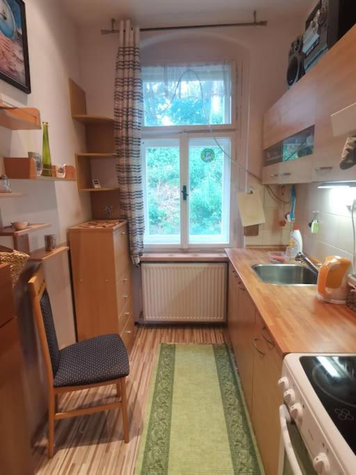 Appartamento Ubytovani Ester - Utulny Byt V Lazenskem Centru Karlovych Varu Se Zahradkou Karlovy Vary Esterno foto