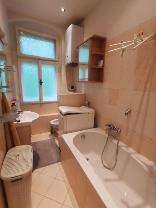 Appartamento Ubytovani Ester - Utulny Byt V Lazenskem Centru Karlovych Varu Se Zahradkou Karlovy Vary Esterno foto
