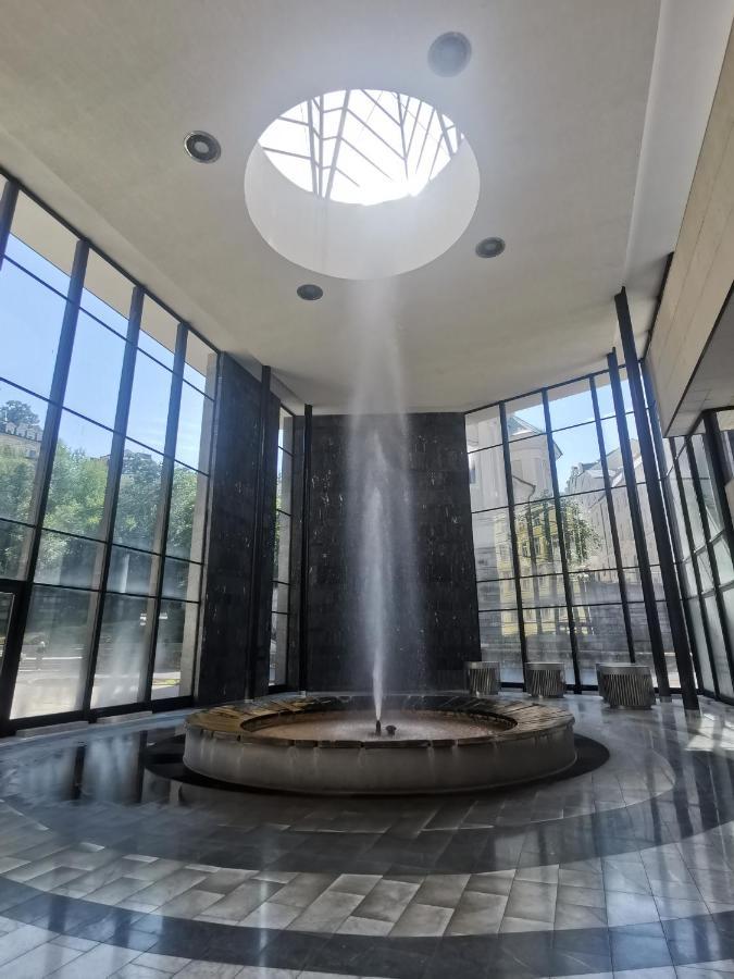 Appartamento Ubytovani Ester - Utulny Byt V Lazenskem Centru Karlovych Varu Se Zahradkou Karlovy Vary Esterno foto