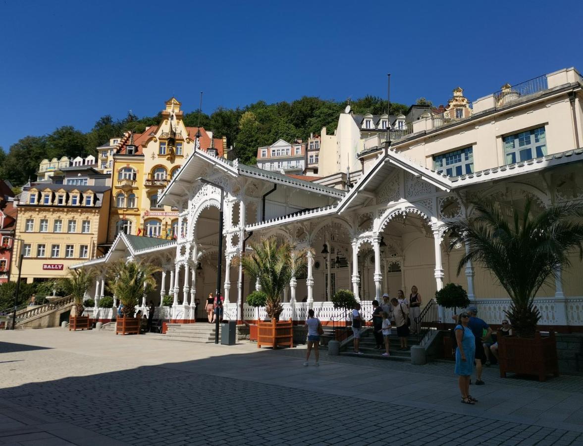 Appartamento Ubytovani Ester - Utulny Byt V Lazenskem Centru Karlovych Varu Se Zahradkou Karlovy Vary Esterno foto