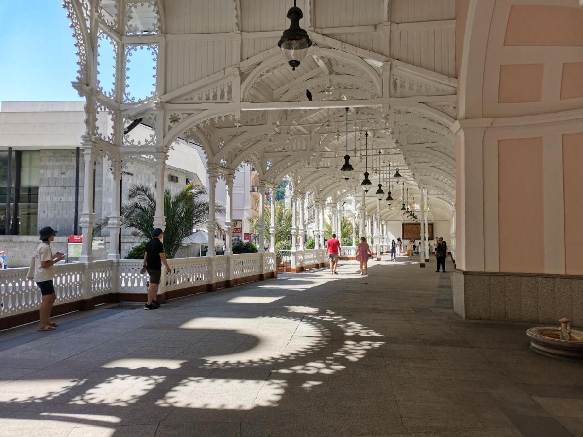 Appartamento Ubytovani Ester - Utulny Byt V Lazenskem Centru Karlovych Varu Se Zahradkou Karlovy Vary Esterno foto