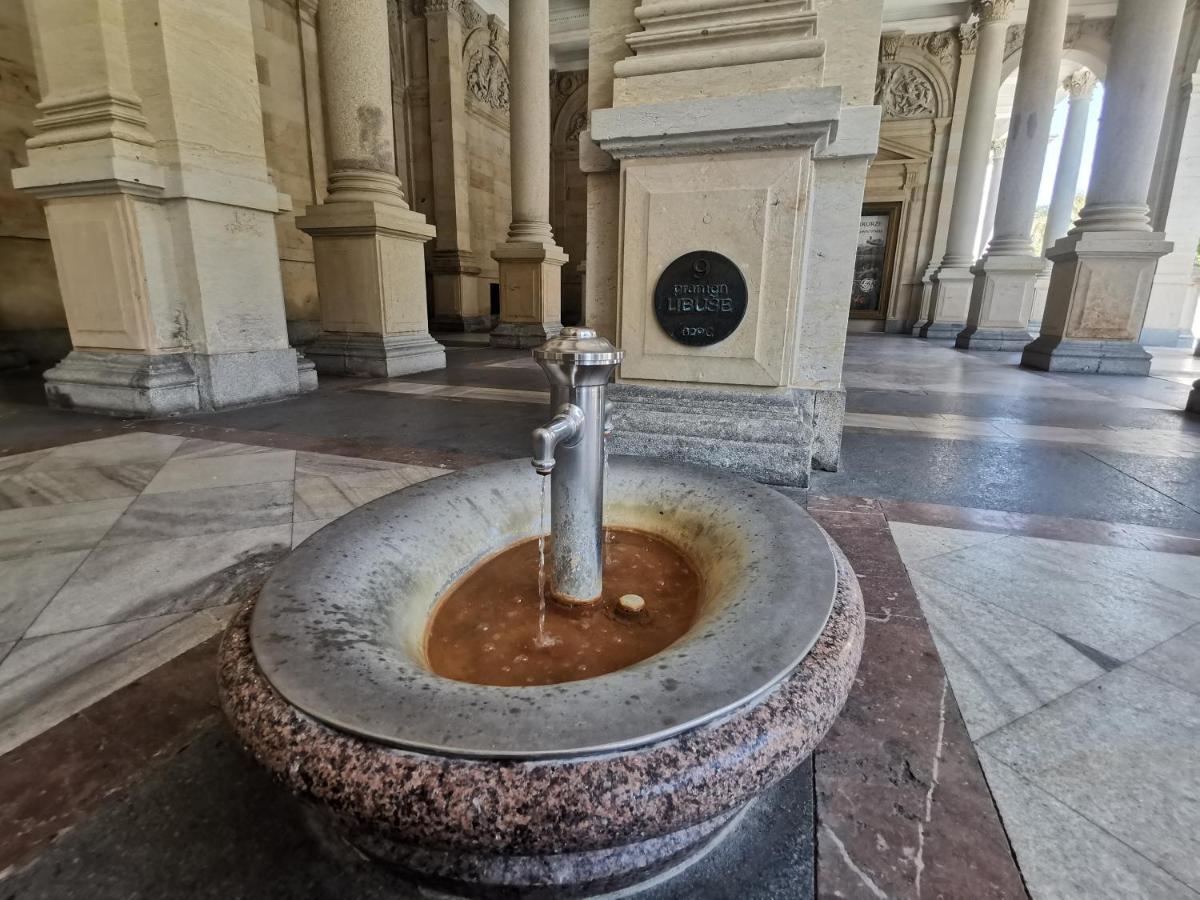 Appartamento Ubytovani Ester - Utulny Byt V Lazenskem Centru Karlovych Varu Se Zahradkou Karlovy Vary Esterno foto